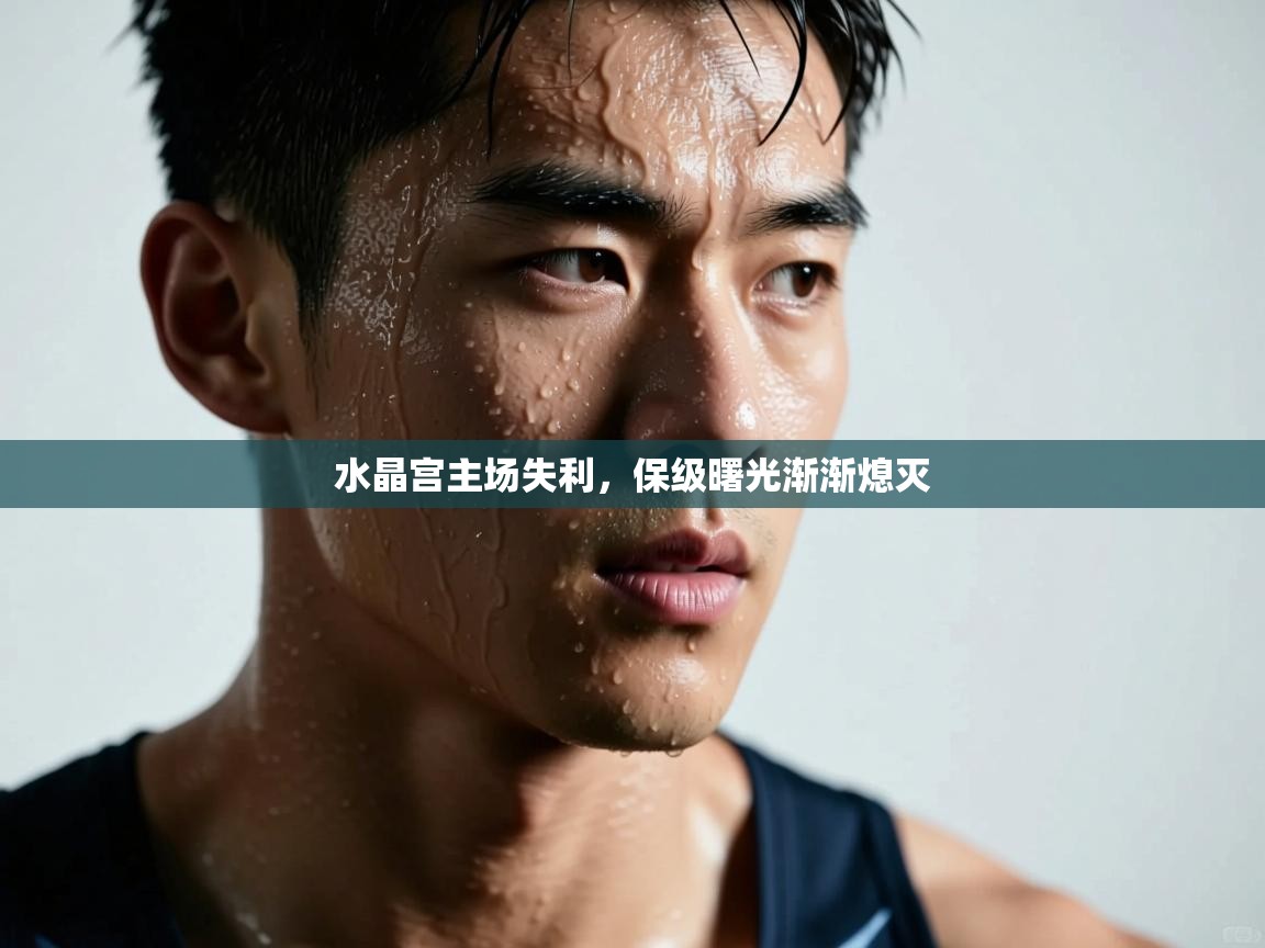 水晶宫主场失利,保级曙光渐渐熄灭 第1张