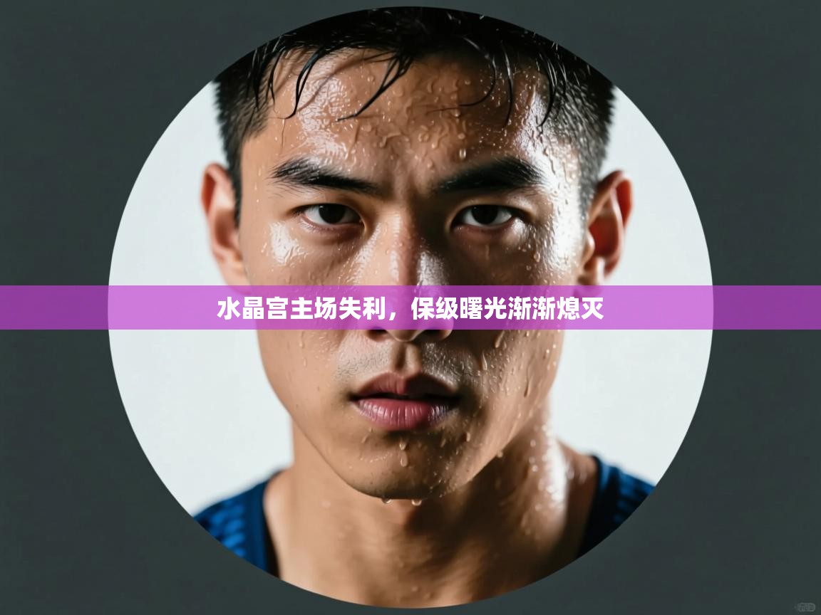 水晶宫主场失利,保级曙光渐渐熄灭 第2张