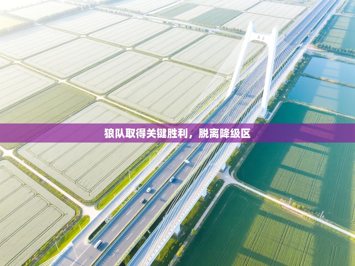 狼队取得关键胜利，脱离降级区  第2张